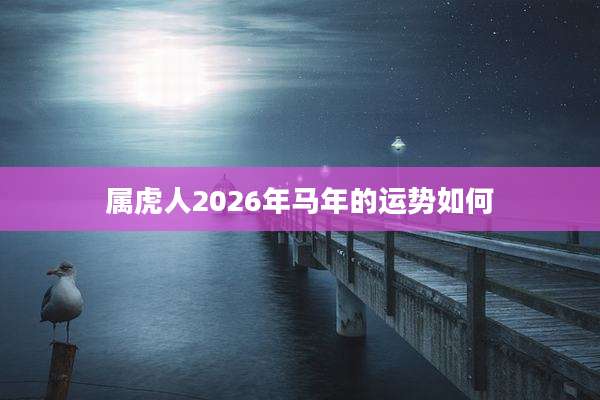 属虎人2026年马年的运势如何