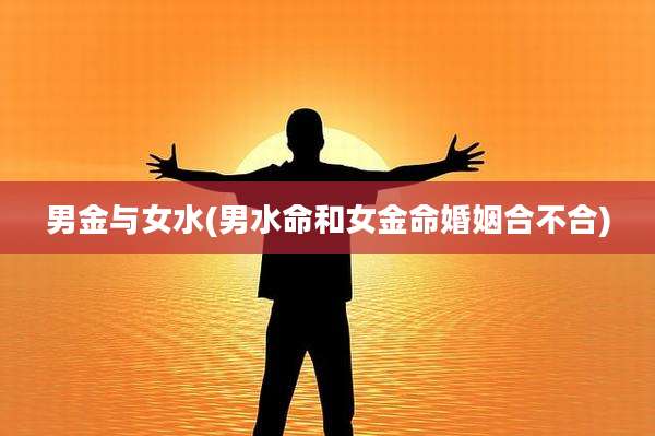 男金与女水(男水命和女金命婚姻合不合)
