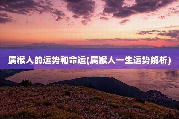 属猴人的运势和命运(属猴人一生运势解析)