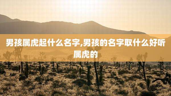 男孩属虎起什么名字,男孩的名字取什么好听属虎的