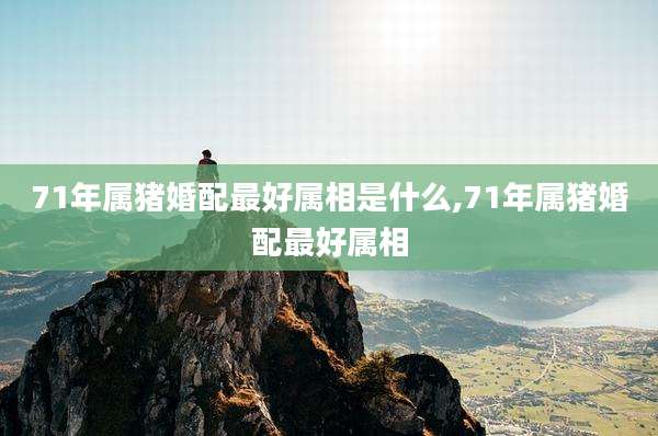 71年属猪婚配最好属相是什么,71年属猪婚配最好属相