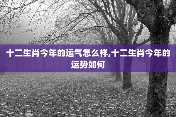 十二生肖今年的运气怎么样,十二生肖今年的运势如何