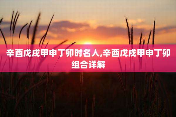 辛酉戊戌甲申丁卯时名人,辛酉戊戌甲申丁卯组合详解