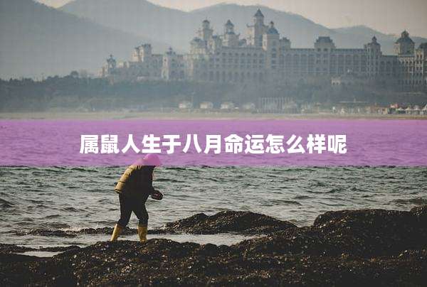 属鼠人生于八月命运怎么样呢