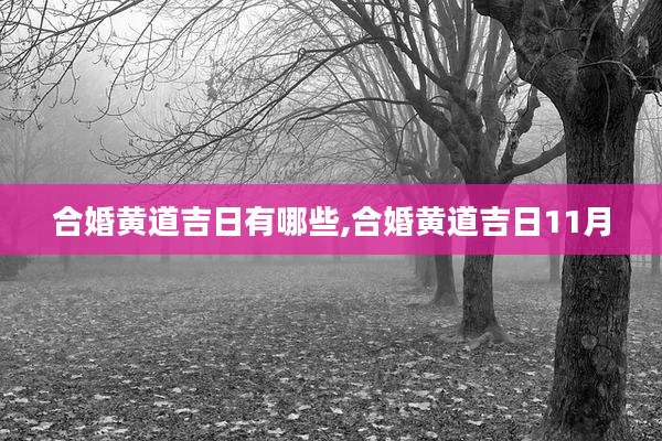 合婚黄道吉日有哪些,合婚黄道吉日11月
