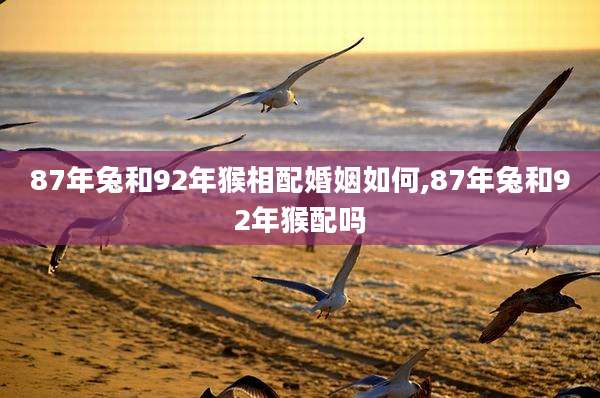 87年兔和92年猴相配婚姻如何,87年兔和92年猴配吗
