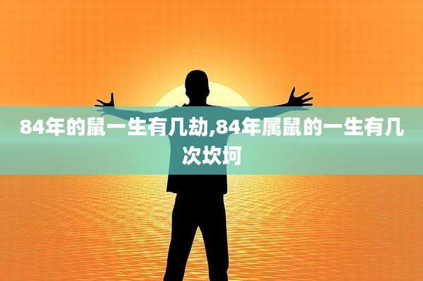84年的鼠一生有几劫,84年属鼠的一生有几次坎坷
