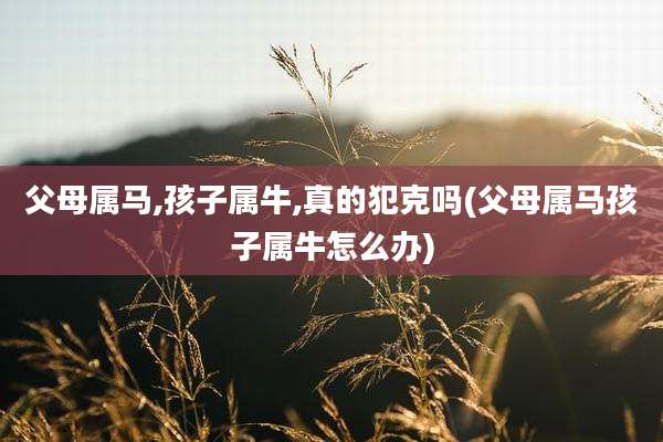父母属马,孩子属牛,真的犯克吗(父母属马孩子属牛怎么办)