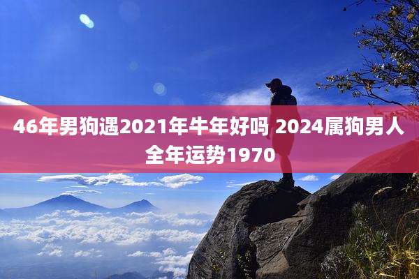 46年男狗遇2021年牛年好吗 2024属狗男人全年运势1970