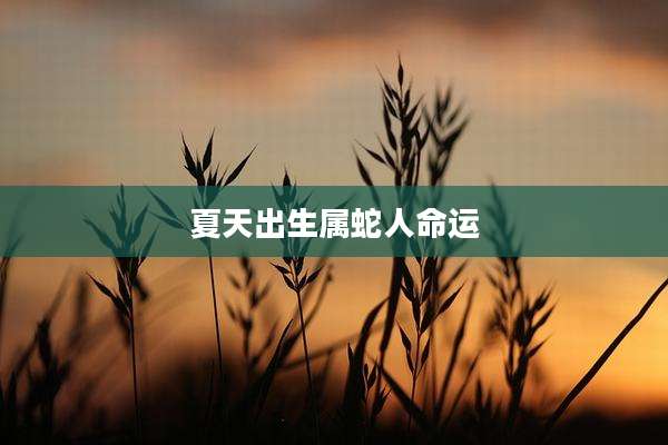夏天出生属蛇人命运