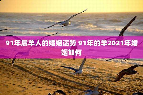 91年属羊人的婚姻运势 91年的羊2021年婚姻如何