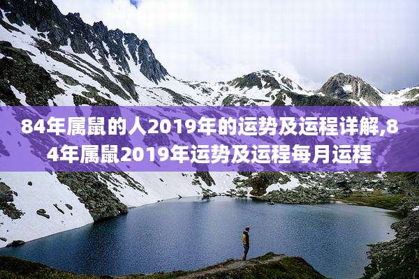 84年属鼠的人2019年的运势及运程详解,84年属鼠2019年运势及运程每月运程