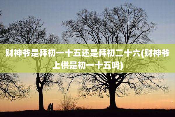 财神爷是拜初一十五还是拜初二十六(财神爷上供是初一十五吗)