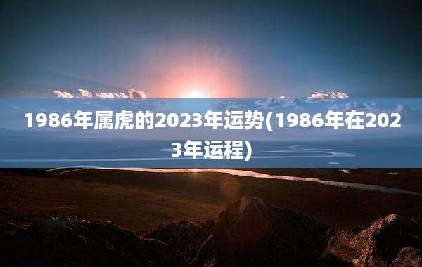 1986年属虎的2023年运势(1986年在2023年运程)