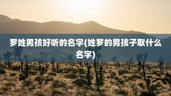 罗姓男孩好听的名字(姓罗的男孩子取什么名字)