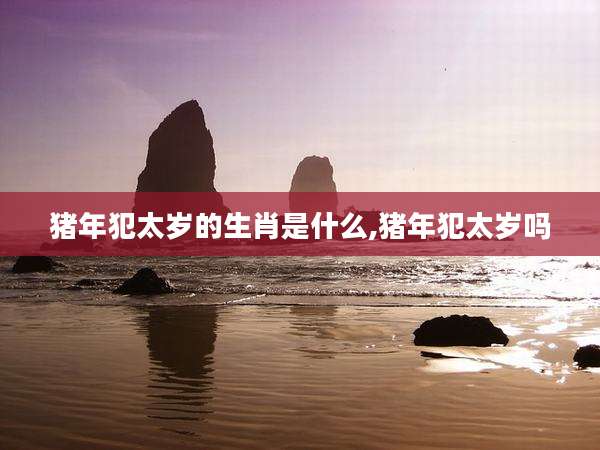 猪年犯太岁的生肖是什么,猪年犯太岁吗