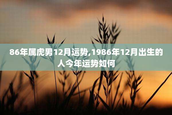 86年属虎男12月运势,1986年12月出生的人今年运势如何