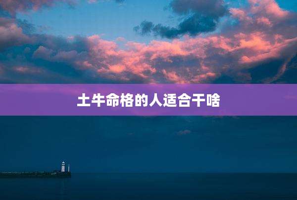 土牛命格的人适合干啥