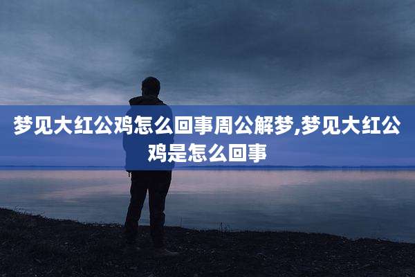 梦见大红公鸡怎么回事周公解梦,梦见大红公鸡是怎么回事