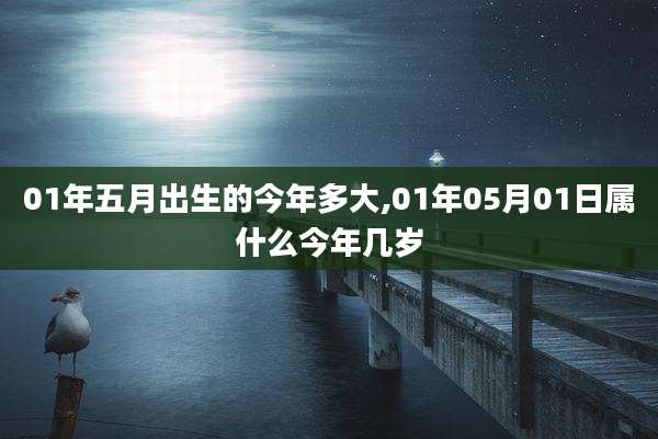 01年五月出生的今年多大,01年05月01日属什么今年几岁