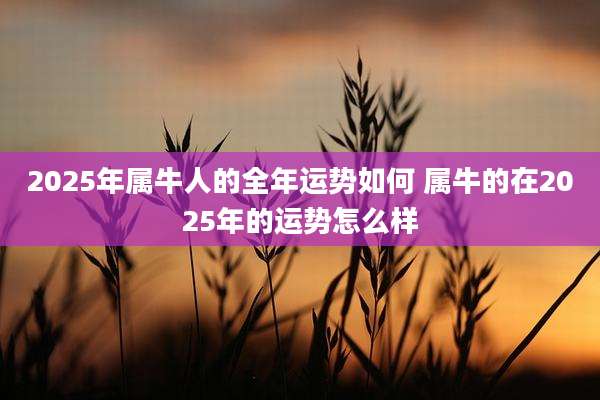 2025年属牛人的全年运势如何 属牛的在2025年的运势怎么样