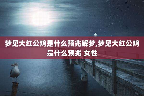 梦见大红公鸡是什么预兆解梦,梦见大红公鸡是什么预兆 女性