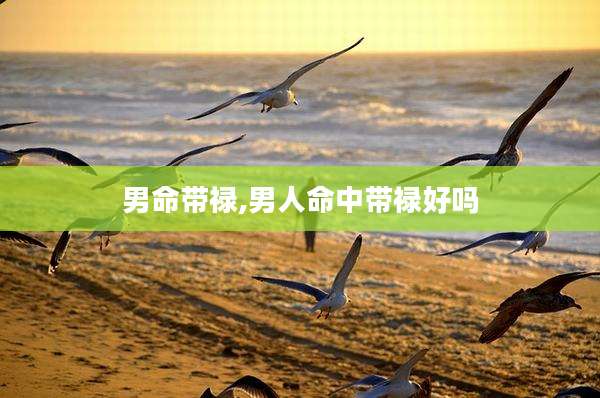 男命带禄,男人命中带禄好吗
