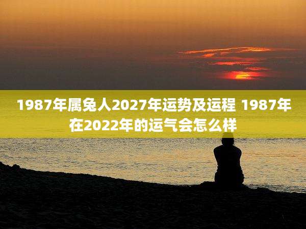 1987年属兔人2027年运势及运程 1987年在2022年的运气会怎么样