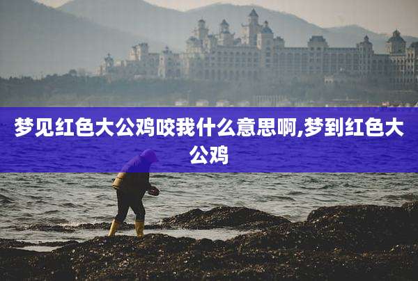 梦见红色大公鸡咬我什么意思啊,梦到红色大公鸡