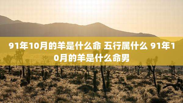 91年10月的羊是什么命 五行属什么 91年10月的羊是什么命男