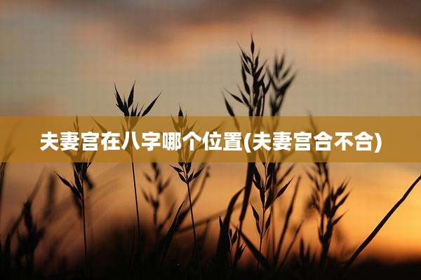 夫妻宫在八字哪个位置(夫妻宫合不合)
