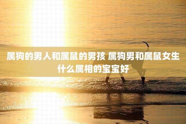 属狗的男人和属鼠的男孩 属狗男和属鼠女生什么属相的宝宝好