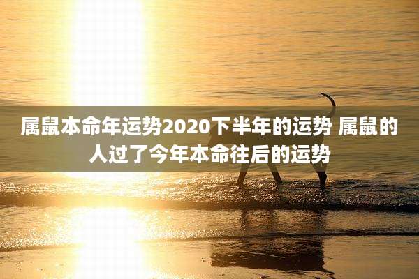 属鼠本命年运势2020下半年的运势 属鼠的人过了今年本命往后的运势