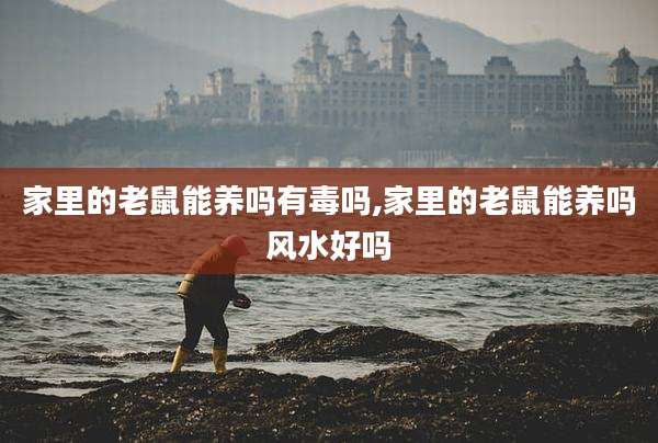 家里的老鼠能养吗有毒吗,家里的老鼠能养吗风水好吗