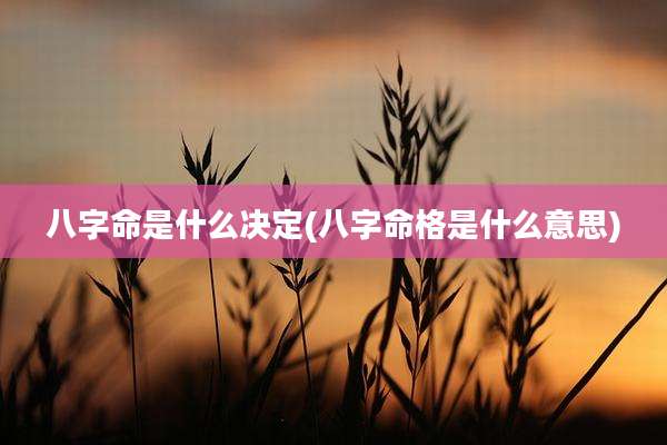 八字命是什么决定(八字命格是什么意思)