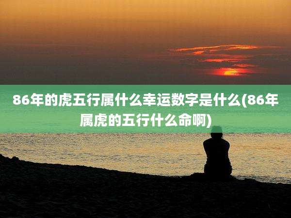 86年的虎五行属什么幸运数字是什么(86年属虎的五行什么命啊)