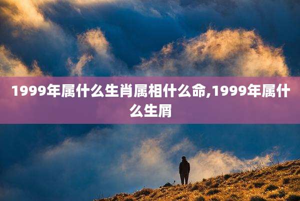 1999年属什么生肖属相什么命,1999年属什么生屑
