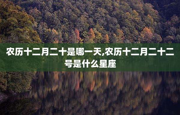 农历十二月二十是哪一天,农历十二月二十二号是什么星座