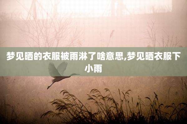 梦见晒的衣服被雨淋了啥意思,梦见晒衣服下小雨