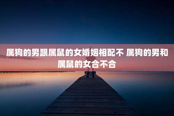 属狗的男跟属鼠的女婚姻相配不 属狗的男和属鼠的女合不合