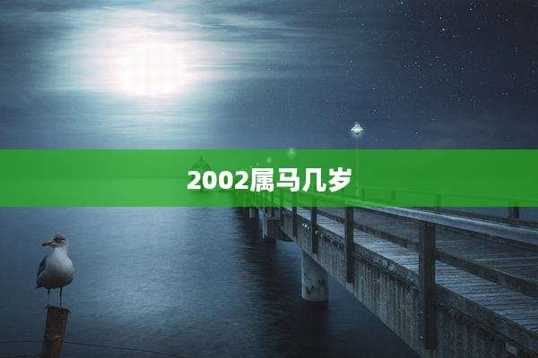 2002属马几岁