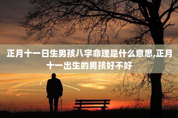 正月十一日生男孩八字命理是什么意思,正月十一出生的男孩好不好