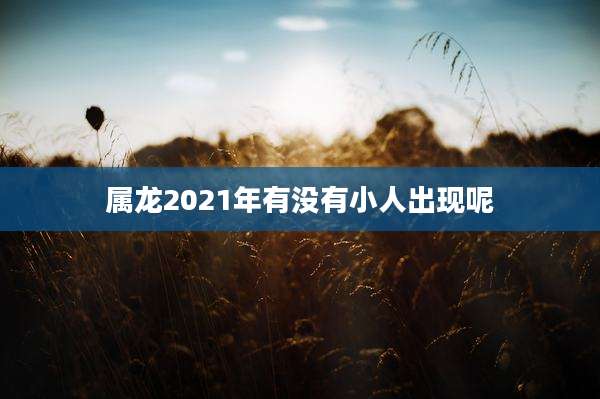 属龙2021年有没有小人出现呢