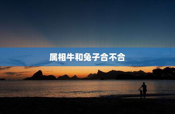 属相牛和兔子合不合