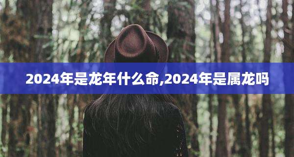 2024年是龙年什么命,2024年是属龙吗