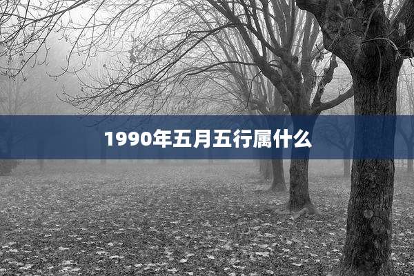 1990年五月五行属什么