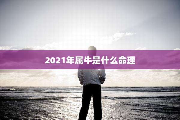 2021年属牛是什么命理