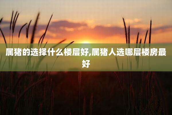 属猪的选择什么楼层好,属猪人选哪层楼房最好