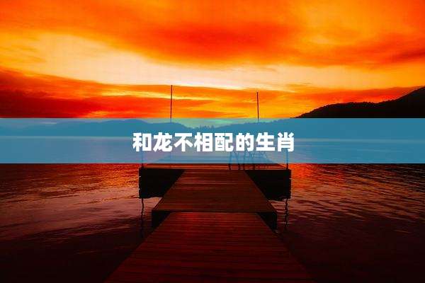 和龙不相配的生肖