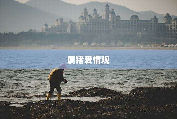 属猪爱情观